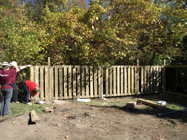 Habitat Build in Cornwall 053