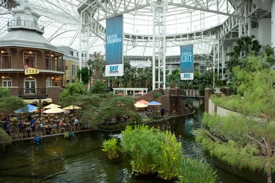 EXIT Realty event photo